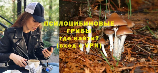 сатива Пересвет
