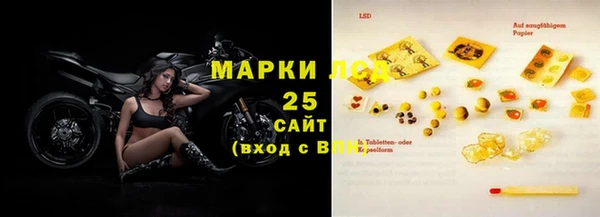 сатива Пересвет