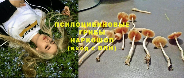 apvp Переславль-Залесский