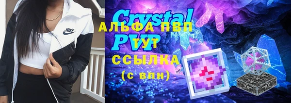 сатива Пересвет