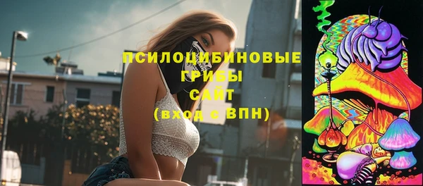 apvp Переславль-Залесский
