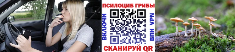 Псилоцибиновые грибы мицелий  hydra ССЫЛКА  Будённовск 